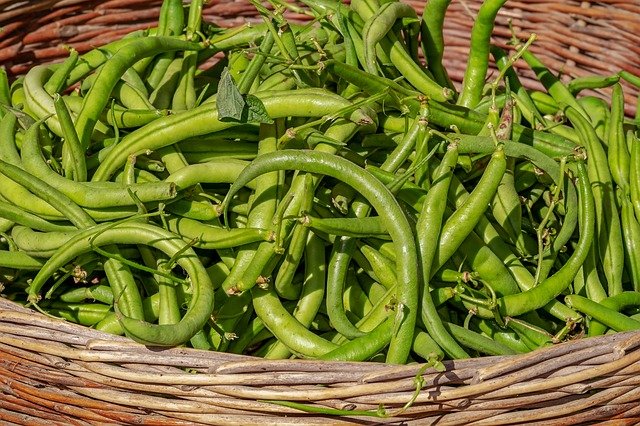 Curry d'haricots verts