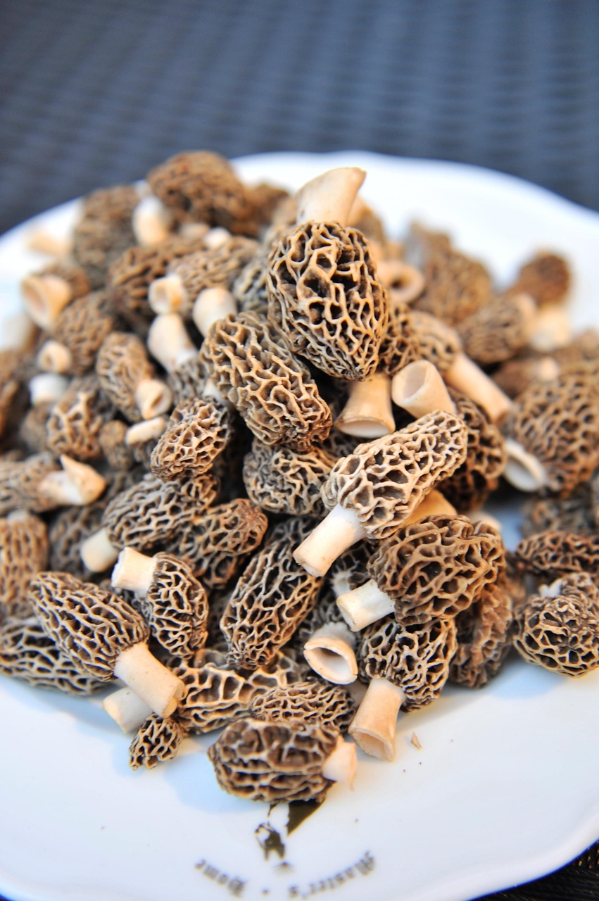 Suprêmes de volaille aux morilles (repas de fête)